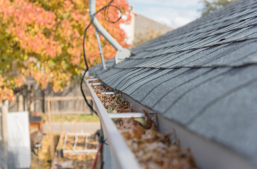 Dirty gutters full of leaves